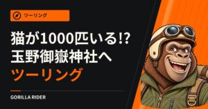 【猫が1000匹いる!?】ハーレーで癒しスポット「玉野御嶽神社」へツーリングに行ってきた！